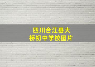 四川合江县大桥初中学校图片