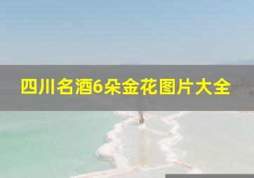 四川名酒6朵金花图片大全