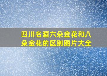 四川名酒六朵金花和八朵金花的区别图片大全