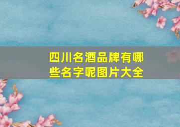 四川名酒品牌有哪些名字呢图片大全