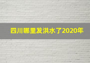 四川哪里发洪水了2020年