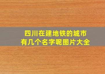 四川在建地铁的城市有几个名字呢图片大全