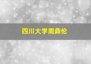 四川大学周鼎伦