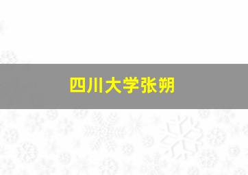 四川大学张朔