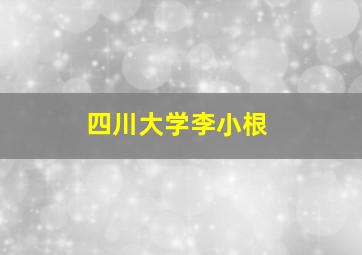 四川大学李小根