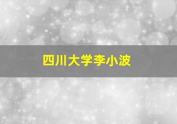 四川大学李小波