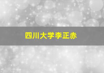 四川大学李正赤