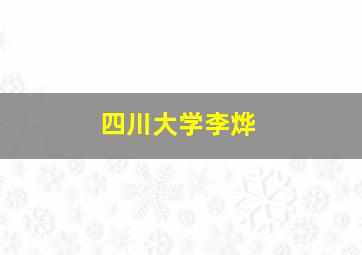 四川大学李烨