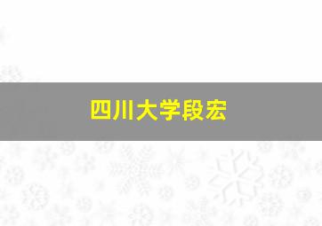 四川大学段宏