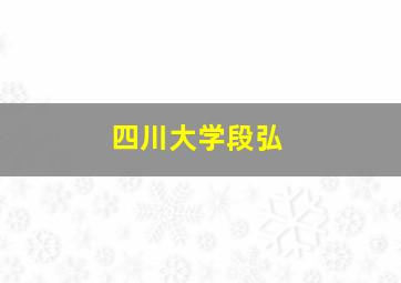 四川大学段弘