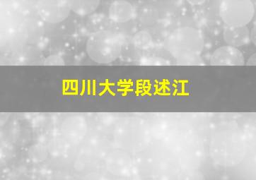 四川大学段述江