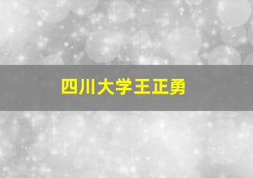 四川大学王正勇