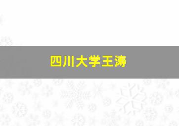 四川大学王涛