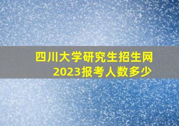 四川大学研究生招生网2023报考人数多少