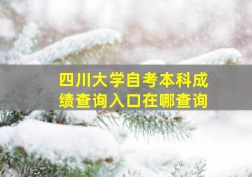 四川大学自考本科成绩查询入口在哪查询