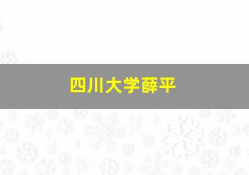 四川大学薛平