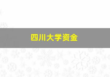 四川大学资金