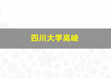 四川大学高峻