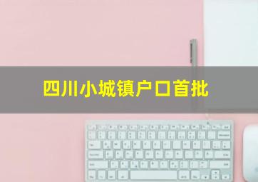 四川小城镇户口首批