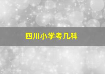 四川小学考几科