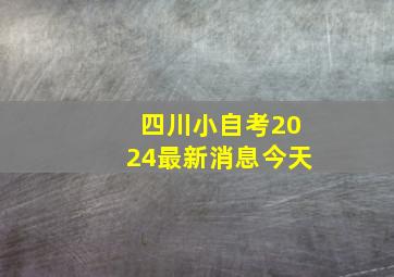 四川小自考2024最新消息今天