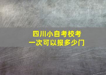 四川小自考校考一次可以报多少门