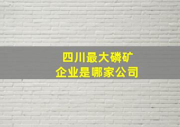 四川最大磷矿企业是哪家公司