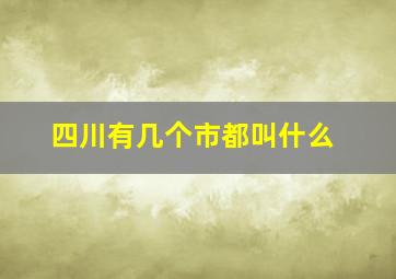 四川有几个市都叫什么