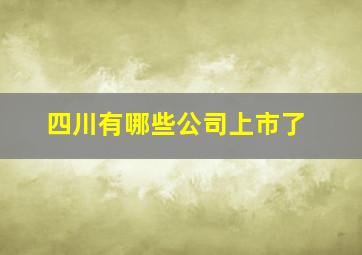 四川有哪些公司上市了