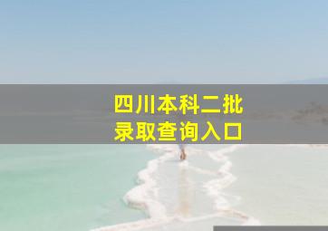 四川本科二批录取查询入口