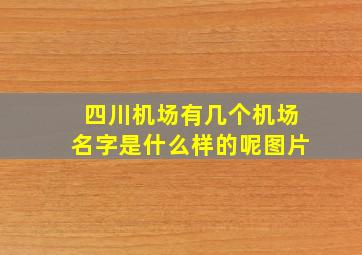 四川机场有几个机场名字是什么样的呢图片