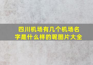 四川机场有几个机场名字是什么样的呢图片大全