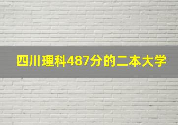 四川理科487分的二本大学