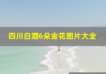 四川白酒6朵金花图片大全