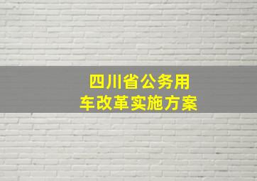 四川省公务用车改革实施方案