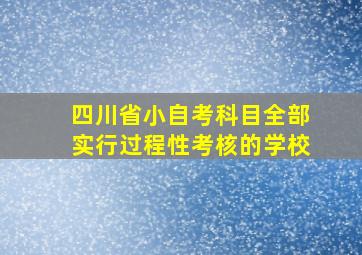 四川省小自考科目全部实行过程性考核的学校