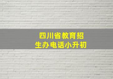 四川省教育招生办电话小升初