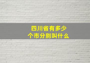 四川省有多少个市分别叫什么