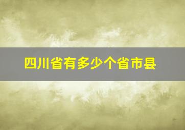 四川省有多少个省市县