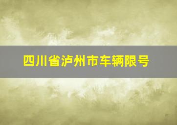 四川省泸州市车辆限号