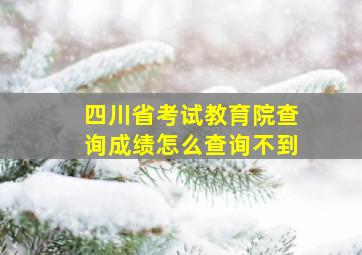 四川省考试教育院查询成绩怎么查询不到