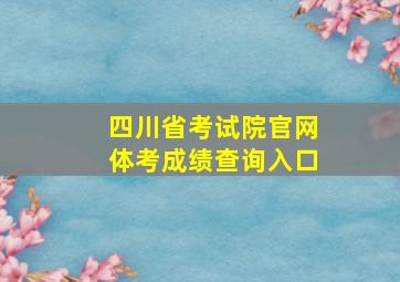 四川省考试院官网体考成绩查询入口