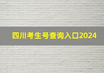 四川考生号查询入口2024