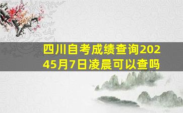 四川自考成绩查询20245月7日凌晨可以查吗