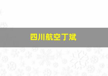 四川航空丁斌