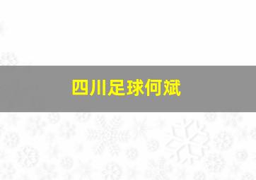 四川足球何斌