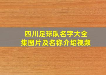 四川足球队名字大全集图片及名称介绍视频