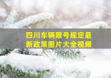 四川车辆限号规定最新政策图片大全视频