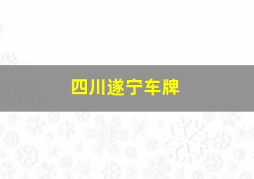 四川遂宁车牌