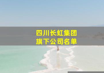 四川长虹集团旗下公司名单